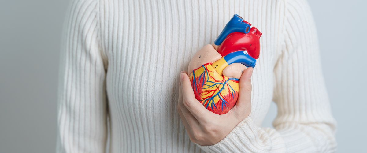 Valvulopatii cardiace: ce sunt, cauze, simptome, diagnostic, tratament